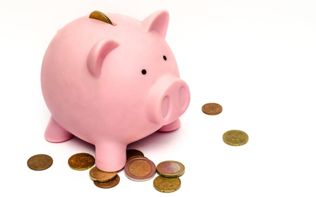 Comment vous rémunérez-vous en MSP ? Bilan de l’ACI